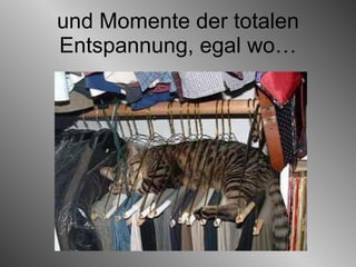 und Momente der totalen Entspannung, egal wo… 