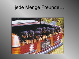 jede Menge Freunde… 