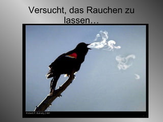 Versucht, das Rauchen zu lassen… 