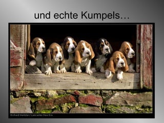 und echte Kumpels… 