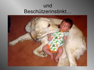 und Beschützerinstinkt… 