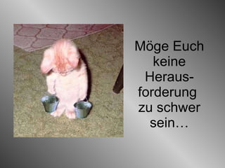 Möge Euch keine Heraus-forderung  zu schwer sein… 