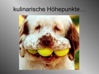 kulinarische Höhepunkte… 