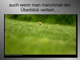 auch wenn man manchmal den Überblick verliert…. 