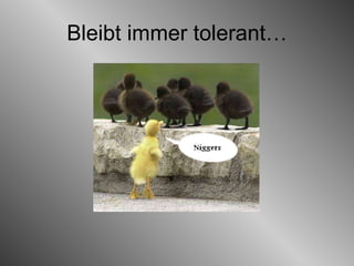 Bleibt immer tolerant… 