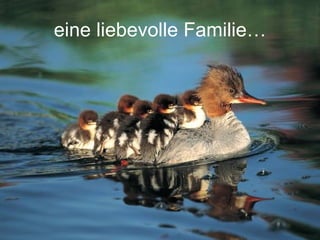 eine liebevolle Familie… 