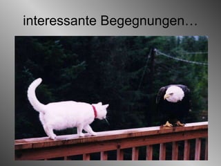 interessante Begegnungen… 