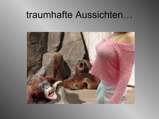 traumhafte Aussichten… 