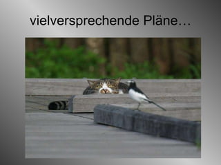 vielversprechende Pläne… 