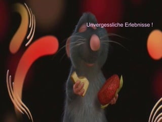 Unvergessliche Erlebnisse ! 