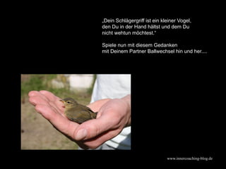www.innercoaching-blog.de
Stell Dir vor:
„Dein Schlägergriff ist ein kleiner Vogel,
den Du in der Hand hältst und dem Du
n...