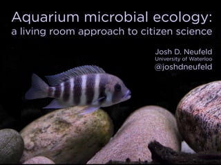 Aquarium microbial ecology:
a living room approach to citizen science

                             Josh D. Neufeld
                             University of Waterloo
                             @joshdneufeld
 