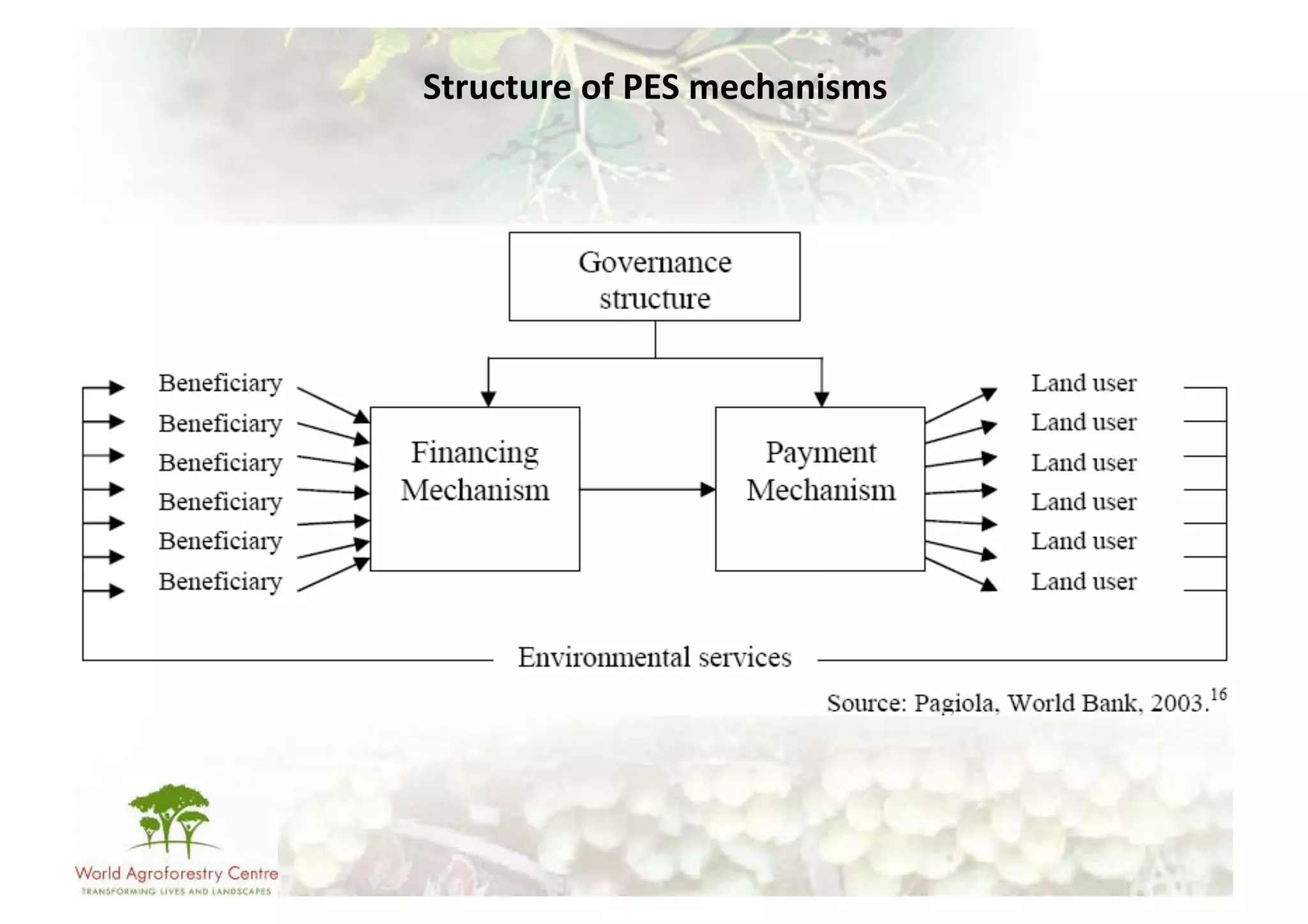 Structure	
  of	
  PES	
  mechanisms	
  
 