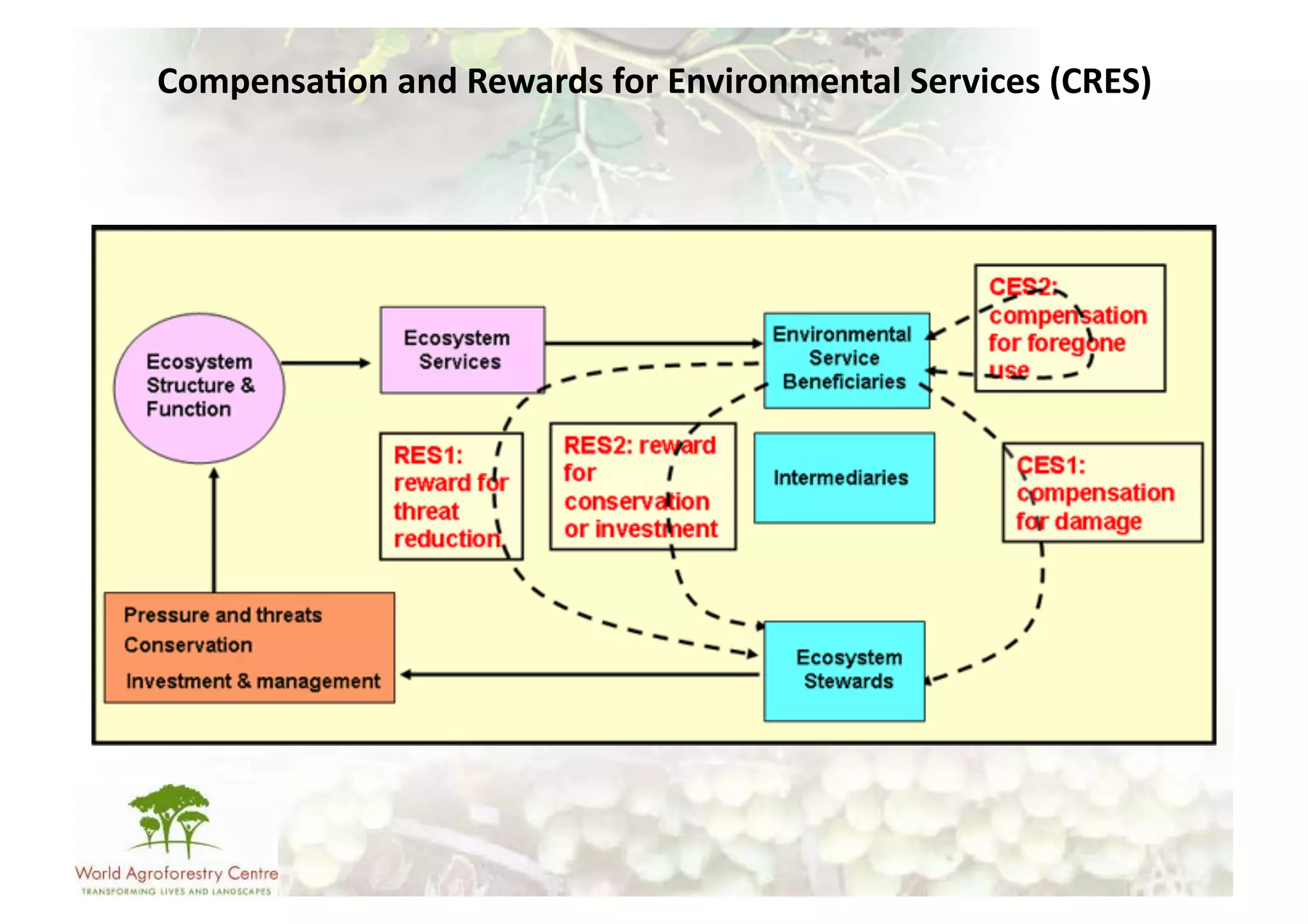 Compensa/on	
  and	
  Rewards	
  for	
  Environmental	
  Services	
  (CRES)	
  
 