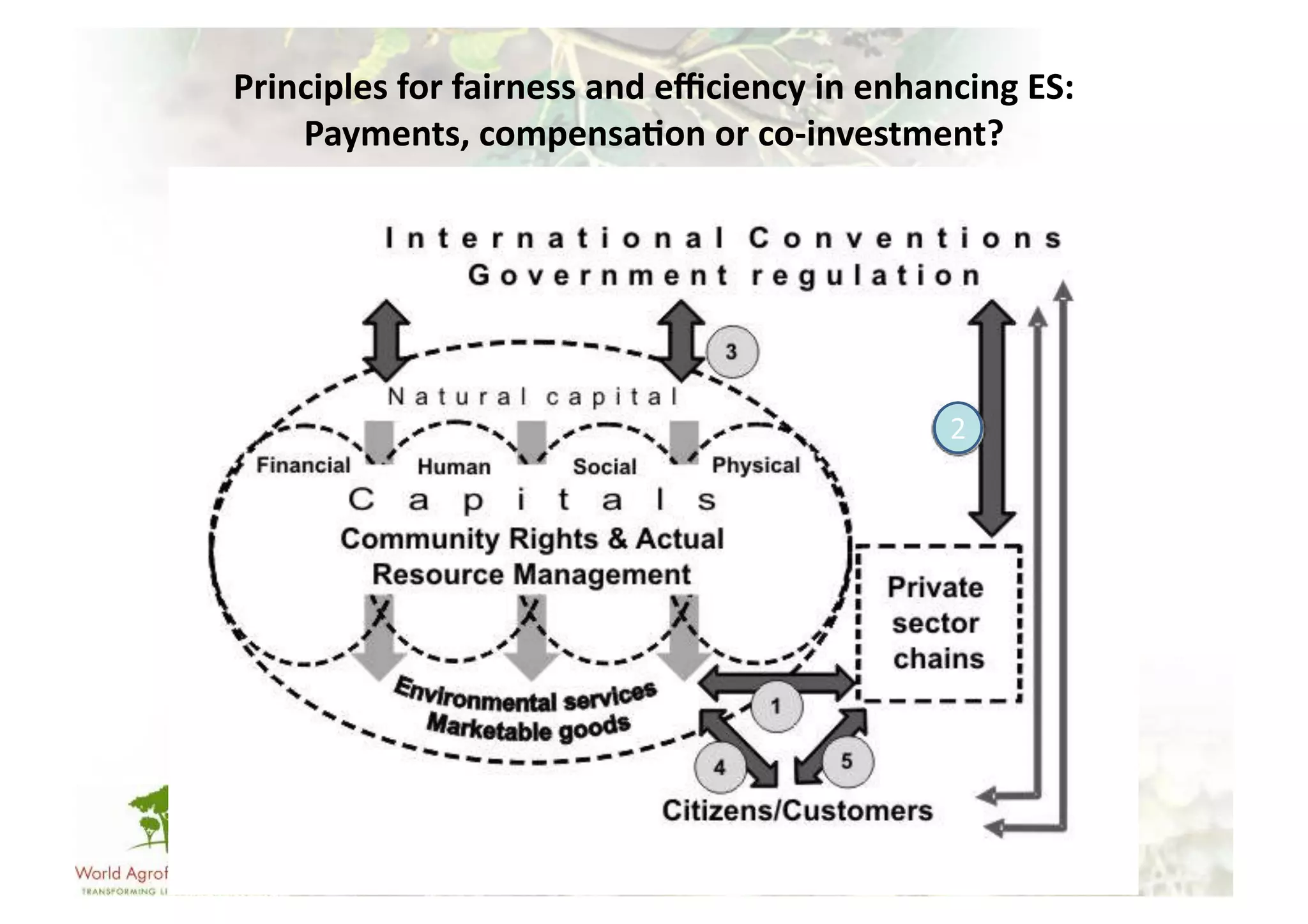 Principles	
  for	
  fairness	
  and	
  eﬃciency	
  in	
  enhancing	
  ES:	
  
    Payments,	
  compensa/on	
  or	
  co-­‐investment?	
  
 