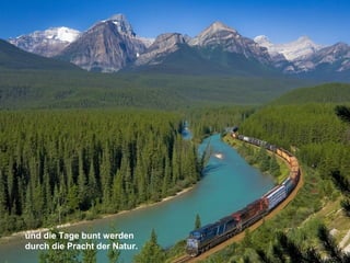 und die Tage bunt werden
durch die Pracht der Natur.
 