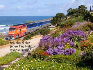 und das Glück
jeden Tag blüht
wie die Blumen...
 