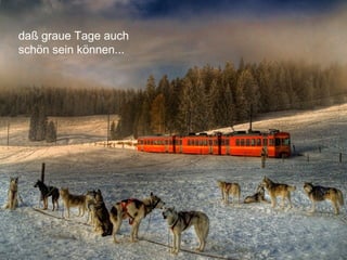 daß graue Tage auch
schön sein können...
 