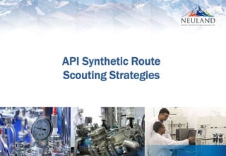 1
API Synthetic Route
Scouting Strategies
 