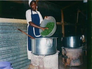 Animal Source Foods Promote Cognitive Function, School Performance, Increased Muscle Growth and Activity in Kenyan School ...