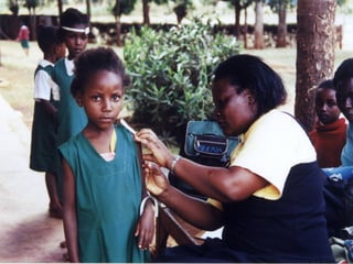 Animal Source Foods Promote Cognitive Function, School Performance, Increased Muscle Growth and Activity in Kenyan School ...