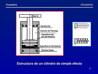 Actuadores Estructura de un cilindro de simple efecto   