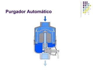 Purgador Automático
 