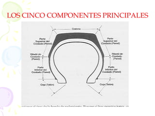 LOS CINCO COMPONENTES PRINCIPALES
 