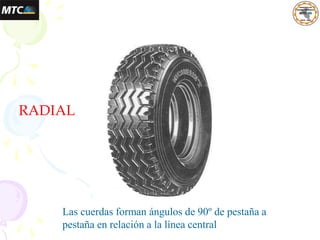RADIAL
Las cuerdas forman ángulos de 90º de pestaña a
pestaña en relación a la línea central
 
