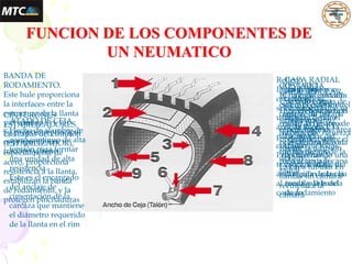 BANDA DE
RODAMIENTO.
Este hule proporciona
la interfaces entre la
estructura de la llanta
y el camino.
Su propósito principal
es proporcionar
tracción y freno
CINTURONES
ESTABILIZADORES.
Las capas del cinturón
(ESTABILIZADOR),
especialmente de
acero, proporciona
resistencia a la llanta,
estabilizan la banda
de rodamiento, y la
protegen pinchaduras
CAPA RADIAL
Junto con los
cinturones,
contienen la
presión de aire
de la llanta.
La capa
transmite todas
las fuerzas de
carga, frenaje, y
dirección entre la
rueda y la banda
de rodamiento
COSTADO
El hule del costado
esta especialmente
compuesto para
resistir la flexión e
intemperie
proporcionando al
mismo tiempo
protección a la capa
radial
CAPA TUBULAR
Una o dos capas de
Hule en llantas tipo
sin cámara
especialmente
preparado para
resistir la difusión
del aire.
La capa tubular en
llantas sin cámara
reemplaza la
cámara
Relleno
Pieza de hule con
características
seleccionadas que se
usan para llenar el
área de la ceja y la
parte inferior del
costado.
Proporcionando una
transición suave del
área rígida de la ceja
al área flexible del
costado
REVUELTA
Una capa colocada
sobre el exterior del
amarre de la capa
radial, en el área de
la ceja, que refuerza
y estabiliza la zona
de transición de la
ceja al costado
RIBETE
Usado como
referencia para el
asentamiento
adecuado del área
de la ceja sobre el
rim
ATADO DE CEJA.
Hecho de alambre de
acero continuo de alta
tensión para formar
una unidad de alta
resistencia.
Este es el encargado
del anclaje de
cimentación de la
carcaza que mantiene
el diámetro requerido
de la llanta en el rim
FUNCION DE LOS COMPONENTES DE
UN NEUMATICO
 