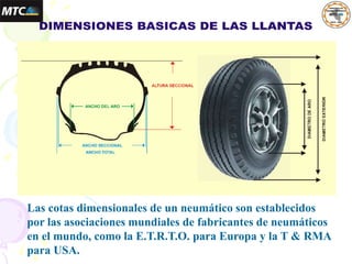 Las cotas dimensionales de un neumático son establecidos
por las asociaciones mundiales de fabricantes de neumáticos
en el mundo, como la E.T.R.T.O. para Europa y la T & RMA
para USA.
 