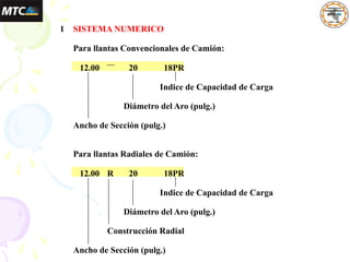 1 SISTEMA NUMERICO
Para llantas Convencionales de Camión:
12.00 20 18PR
Indice de Capacidad de Carga
Diámetro del Aro (pulg.)
Ancho de Sección (pulg.)
Para llantas Radiales de Camión:
12.00 R 20 18PR
Indice de Capacidad de Carga
Diámetro del Aro (pulg.)
Construcción Radial
Ancho de Sección (pulg.)
 