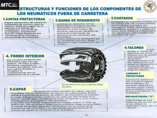 ESTRUCTURAS Y FUNCIONES DE LOS COMPONENTES DE
LOS NEUMATICOS FUERA DE CARRETERA
5.CAPAS
1.CINTAS PROTECTORAS
4. FORRO INTERIOR
2.BANDA DE RODAMIENTO
EMPAQUETADURA “ O ”
CAMARAS Y
PROTECTORES
6.TALONES
3.COSTADOS
NEUMATICOS CON CINTAS PROTECTORAS
TEXTILES
 
