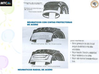 NEUMATICOS CON CINTAS PROTECTORAS
DE ACERO
NEUMATICOS RADIAL DE ACERO
 
