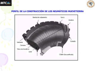 PERFIL DE LA CONSTRUCCIÓN DE LOS NEUMÁTICOS MUEVETIERRA
 