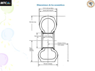 Dimensiones de los neumáticos
 