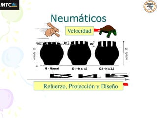 Neumáticos
Velocidad
Refuerzo, Protección y Diseño
 
