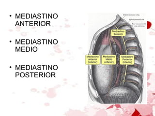 MEDIASTINO ANTERIOR MEDIASTINO MEDIO MEDIASTINO POSTERIOR 