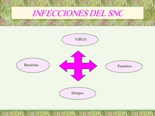 INFECCIONES DEL SNC 
     INFECCIONES DEL SNC 

              VIRUS 




Bacterias              Parásitos




             Hongos 
             Hongos 
 