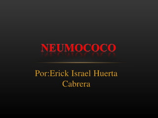 Neumococoeihc12