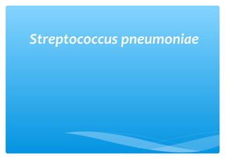 Streptococcus pneumoniae

 