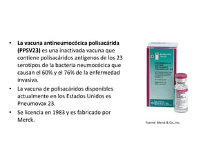 • La vacuna antineumocócica polisacárida
(PPSV23) es una inactivada vacuna que
contiene polisacáridos antígenos de los 23
serotipos de la bacteria neumocócica que
causan el 60% y el 76% de la enfermedad
invasiva.
• La vacuna de polisacáridos disponibles
actualmente en los Estados Unidos es
Pneumovax 23.
• Se licencia en 1983 y es fabricado por
Merck. Fuente: Merck & Co., Inc.
 