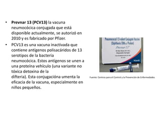 • Prevnar 13 (PCV13) la vacuna
neumocócica conjugada que está
disponible actualmente, se autorizó en
2010 y es fabricado por Pfizer.
• PCV13 es una vacuna inactivada que
contiene antígenos polisacáridos de 13
serotipos de la bacteria
neumocócica. Estos antígenos se unen a
una proteína vehículo (una variante no
tóxica detoxina de la
difteria). Esta conjugacióna umenta la
eficacia de la vacuna, especialmente en
niños pequeños.
Fuente: Centros para el Control y la Prevención de Enfermedades
 