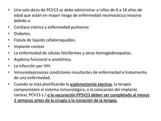 • Una sola dosis de PCV13 se debe administrar a niños de 6 a 18 años de
edad que están en mayor riesgo de enfermedad neumocócica invasiva
debido a:
• Cardíaca crónica y enfermedad pulmonar.
• Diabetes.
• Fístula de líquido cefalorraquídeo.
• Implante coclear.
• La enfermedad de células falciformes y otras hemoglobinopatías.
• Asplenia funcional o anatómica.
• La infección por VIH.
• Inmunodepresoras condiciones resultantes de enfermedad o tratamiento
de una enfermedad.
• Cuando se está planificando la esplenectomía electiva, la terapia
comprometen el sistema inmunológico, o la colocación del implante
coclear, PCV13 y / o la vacunación PPSV23 deben ser completado al menos
2 semanas antes de la cirugía o la iniciación de la terapia.
 