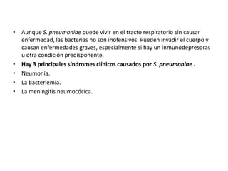 • Aunque S. pneumoniae puede vivir en el tracto respiratorio sin causar
enfermedad, las bacterias no son inofensivos. Pueden invadir el cuerpo y
causan enfermedades graves, especialmente si hay un inmunodepresoras
u otra condición predisponente.
• Hay 3 principales síndromes clínicos causados ​​por S. pneumoniae .
• Neumonía.
• La bacteriemia.
• La meningitis neumocócica.
 