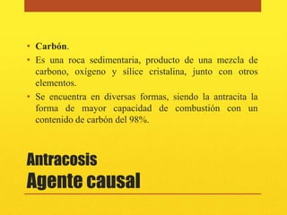 • Carbón.
• Es una roca sedimentaria, producto de una mezcla de
  carbono, oxígeno y sílice cristalina, junto con otros
  elementos.
• Se encuentra en diversas formas, siendo la antracita la
  forma de mayor capacidad de combustión con un
  contenido de carbón del 98%.



Antracosis
Agente causal
 