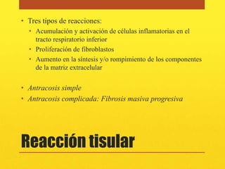 • Tres tipos de reacciones:
  • Acumulación y activación de células inflamatorias en el
    tracto respiratorio inferior
  • Proliferación de fibroblastos
  • Aumento en la síntesis y/o rompimiento de los componentes
    de la matriz extracelular

• Antracosis simple
• Antracosis complicada: Fibrosis masiva progresiva




Reacción tisular
 