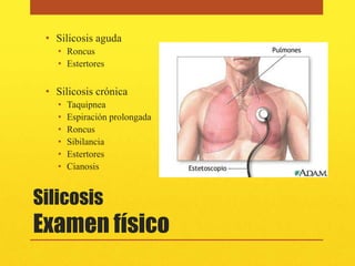 • Silicosis aguda
   • Roncus
   • Estertores


 • Silicosis crónica
   •   Taquipnea
   •   Espiración prolongada
   •   Roncus
   •   Sibilancia
   •   Estertores
   •   Cianosis


Silicosis
Examen físico
 