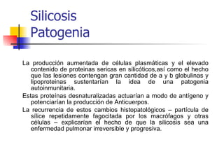 La producción aumentada de células plasmáticas y el elevado contenido de proteinas sericas en silicóticos,así como el hecho que las lesiones contengan gran cantidad de a y b globulinas y lipoproteinas sustentarían la idea de una patogenia autoinmunitaria. Estas proteínas desnaturalizadas actuarían a modo de antígeno y potenciarían la producción de Anticuerpos. La recurrencia de estos cambios histopatológicos – partícula de sílice repetidamente fagocitada por los macrófagos y otras células – explicarían el hecho de que la silicosis sea una enfermedad pulmonar irreversible y progresiva. Silicosis Patogenia 