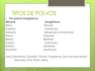 TIPOS DE POLVOS
• Por polvos inorgánicos
Mineral Inorgánicos
Silice Silicosis
Carbón Antracosis
Asbesto Asbestosis o Amiantosis
Hierro Siderosis
Berilio Beriliosis
Calcio Calcinosis
Estaño Estañosis
Aluminio Aluminosis
uros: Diamante, Cobalto, Titanio, Tungsteno, (son los más duros)
Mercurio, Oro, Plata, Mica
 